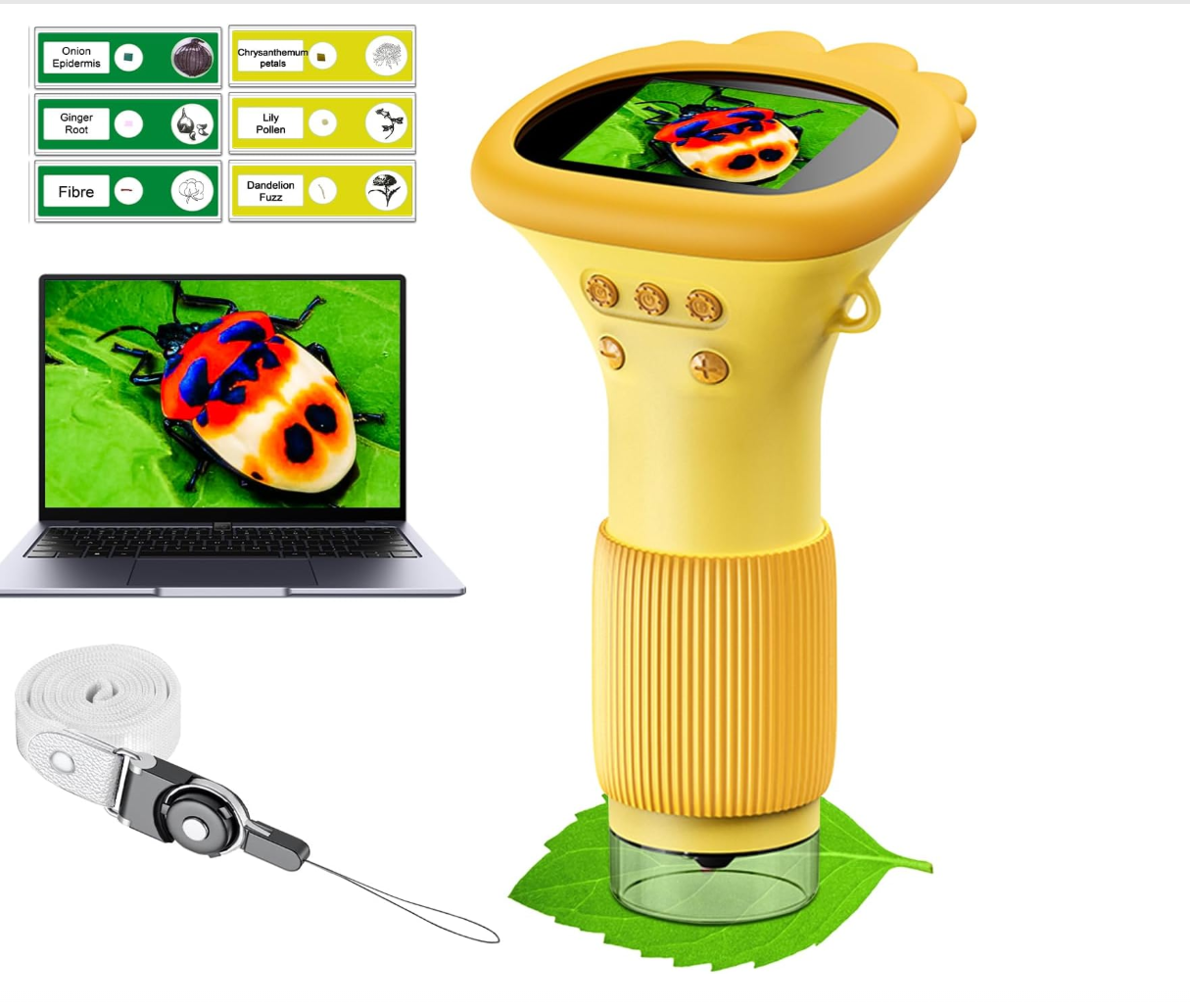 Microscope for Kids